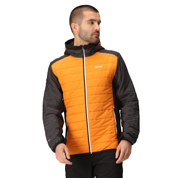Regatta Trutton II Baffled Padded Jacket S Orange Pepper/A för män Orange Pepper/Ash S