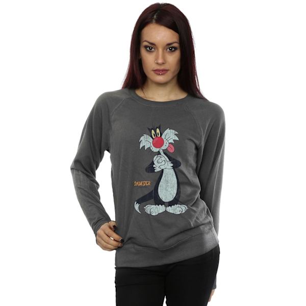 Looney Tunes Dam/Damer Sylvester Distressed Sweatshirt XL C Charcoal XL
