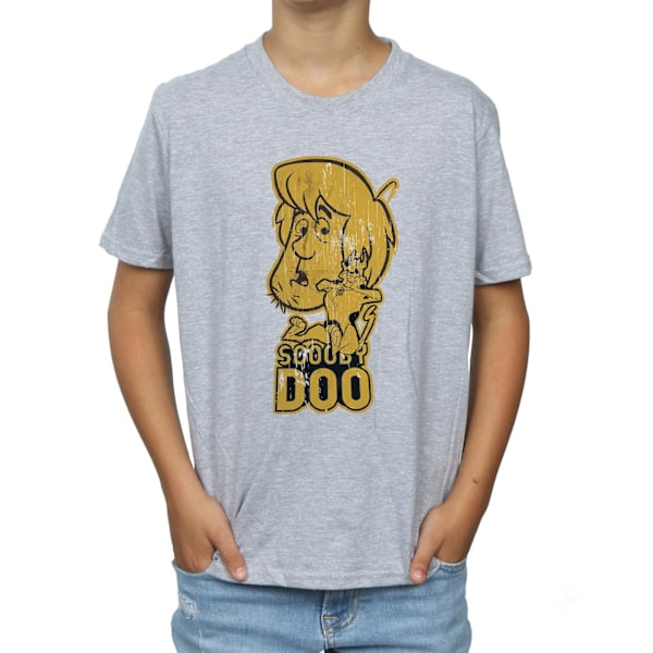 Scooby Doo Pojkar Och Shaggy T-Shirt 12-13 År Sports Grey Sports Grey 12-13 Years