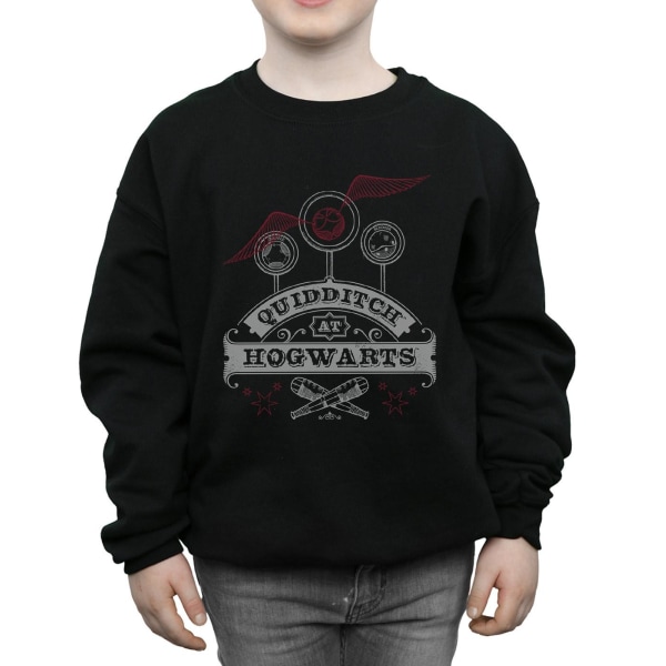 Harry Potter Quidditch på Hogwarts Sweatshirt 12-13 år Black 12-13 Years