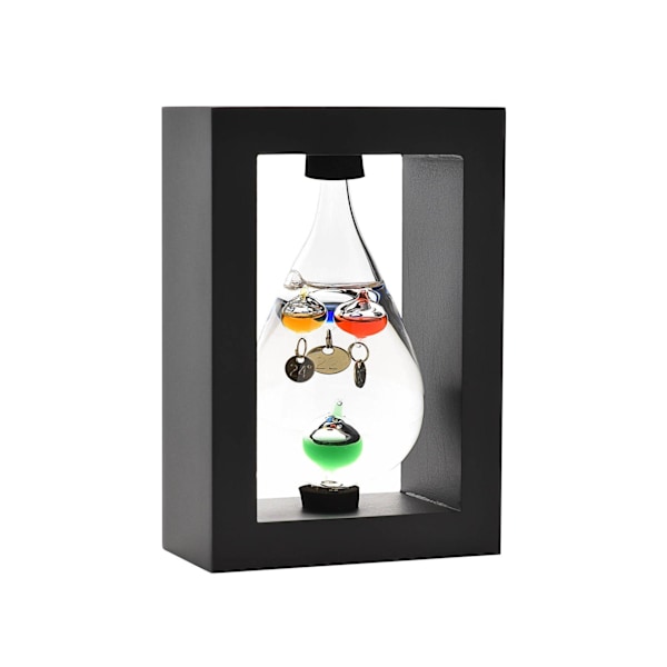 Wm.Widdop Teardrop Galileo i träram One Size Svart Black One Size