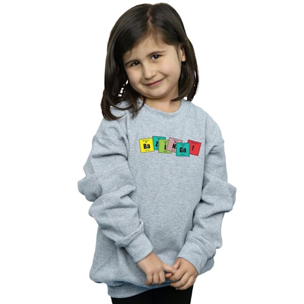 The Big Bang Theory Girls Bazinga Elements Sweatshirt 12-13 År Sports Grey 12-13 Years