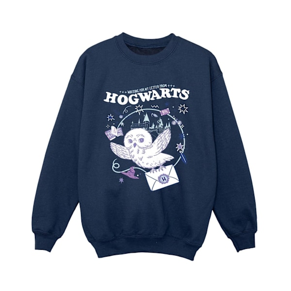 Harry Potter Pojkar Uggla Brev Från Hogwarts Sweatshirt 12-13 År Navy Blue 12-13 Years