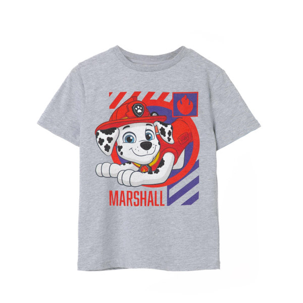 Paw Patrol Boys Marshall T-shirt 7-8 år Grå Marl Grey Marl 7-8 Years