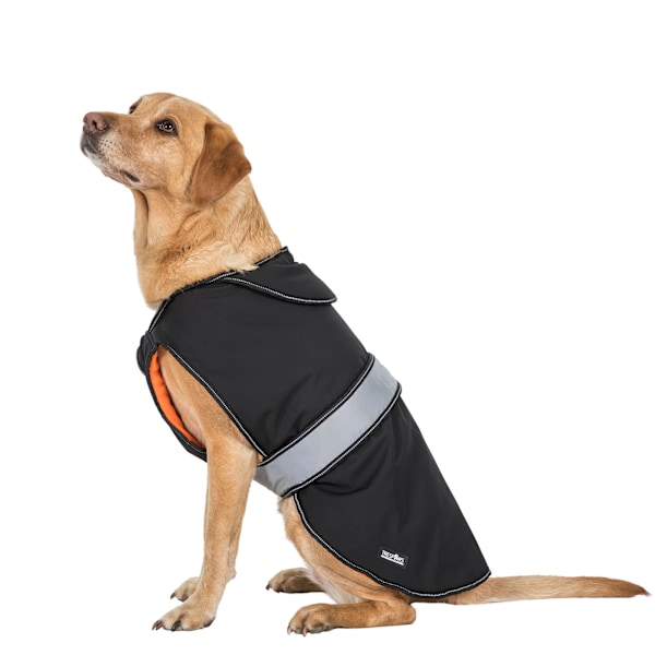Trespass Butch Touch Fastening Softshell Hundjacka XS Svart Black XS