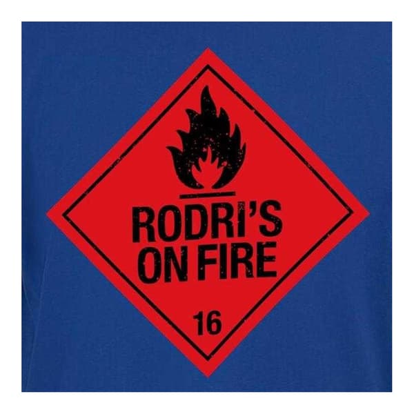 AWD Herr Rodris On Fire T-Shirt S Blå Blue S