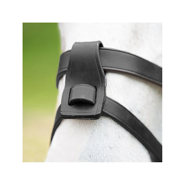 Blenheim Läder Häst Flashfäste En Storlek Svart Black One Size