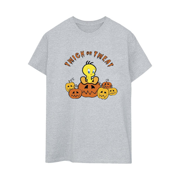 Looney Tunes Dam/Damer Twick Eller Tweat Bomull Pojkvän T-Sh Sports Grey M
