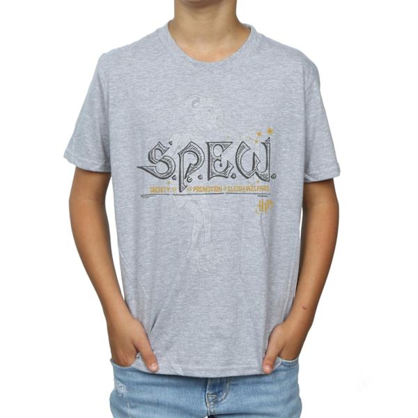 Harry Potter Boys Dobby Elfish Welfare T-Shirt 5-6 år Sport Sports Grey 5-6 Years