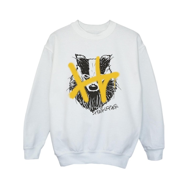 Harry Potter Boys Hufflepuff Pop Spray Sweatshirt 9-11 år Vit White 9-11 Years