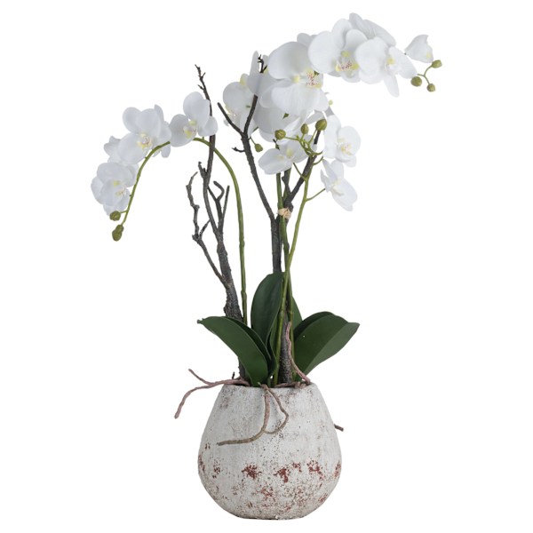 Hill Interiors Orkidé i stenkruka 70 x 46 x 46 cm vit White 70 x 46 x 46cm