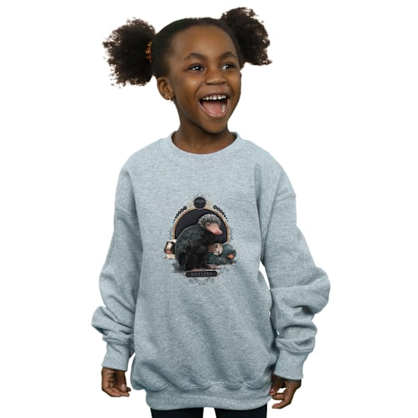 Fantastiska vidunder Girls Baby Nifflers Sweatshirt 12-13 år Spo Sports Grey 12-13 Years