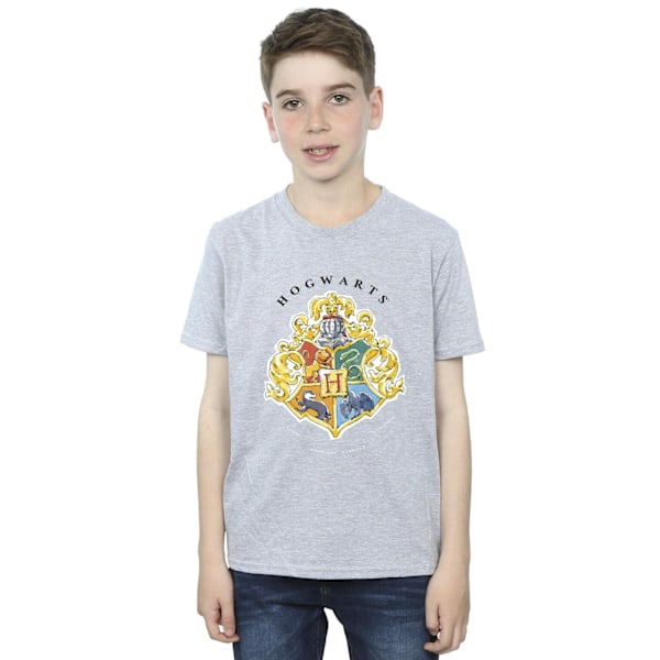 Harry Potter Boys Hogwarts School Emblem T-Shirt 9-11 år Spo Sports Grey 9-11 Years