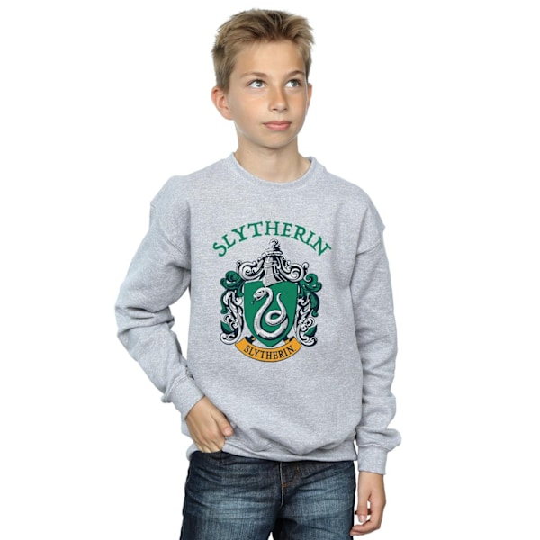 Harry Potter Pojkar Slytherin Crest Sweatshirt 5-6 År Sport Grå Sports Grey 5-6 Years