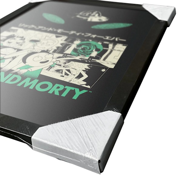 Rick And Morty Inramad Tryck 40cm x 30cm Grön/Vit/Svart Green/White/Black 40cm x 30cm