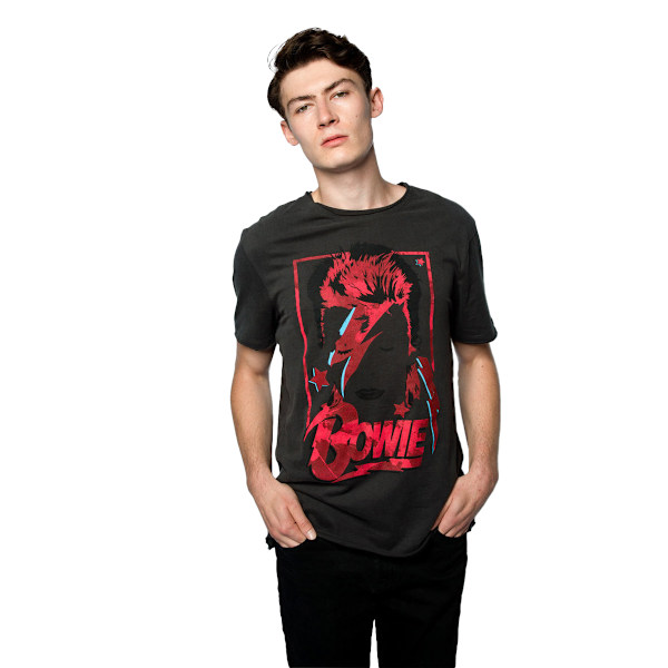 Amplified Unisex Vuxen Aladdin Sane David Bowie T-shirt L Kol Charcoal L