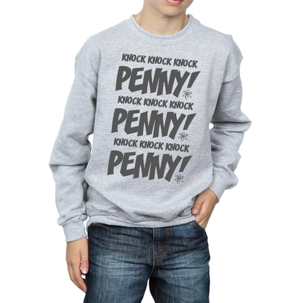 The Big Bang Theory Boys Sheldon Knock Knock Penny Sweatshirt 1 Sports Grey 12-13 Years