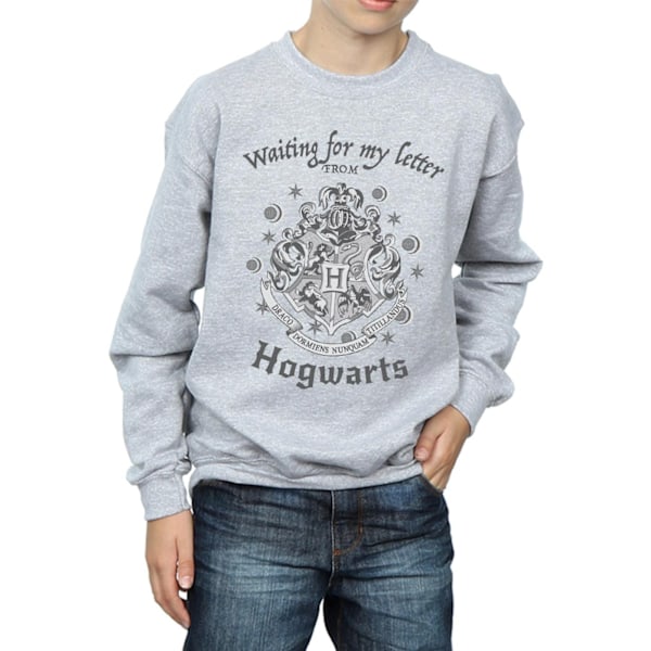 Harry Potter Boys Hogwarts Väntar På Mitt Brev Sweatshirt 12- Sports Grey 12-13 Years