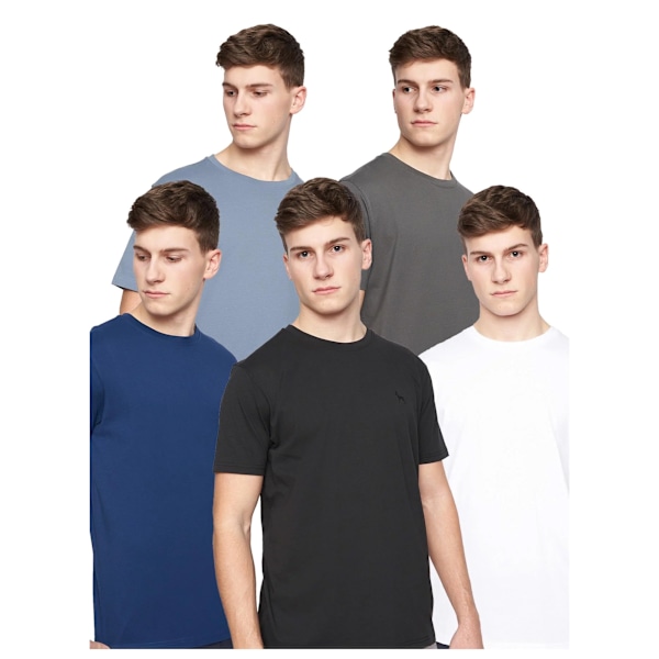 Bewley & Ritch Bonucci T-shirt för män (5-pack) M Blå/Svart/Grå Blue/Black/Grey/White/Light Blue M