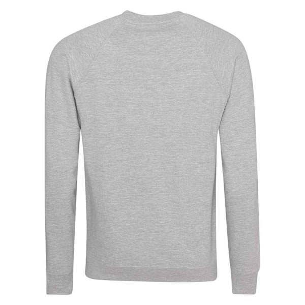 Awdis Barn/Barn Akademi Raglan Sweatshirt XS Grå Grey XS