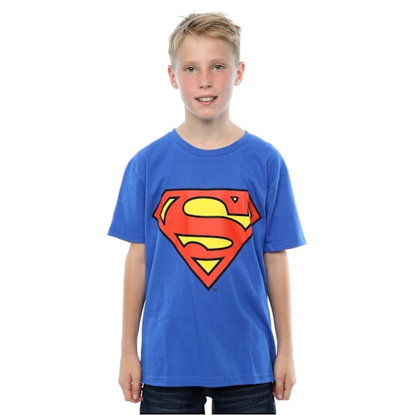 DC Comics Pojkars Superman Logotyp T-shirt 7-8 År Royal Blå Royal Blue 7-8 Years