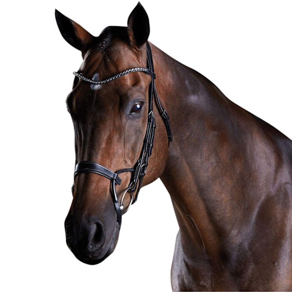 Collegiate Comfitec Crystal Läder Bridle Cob Svart Black Cob