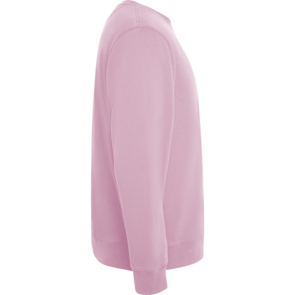 Roly Unisex Vuxen Batian Crew Neck Sweatshirt XL Ljusrosa Light Pink XL