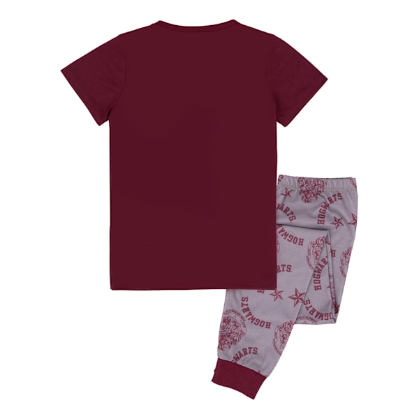 Harry Potter Girls Crest Glitter Pyjamas Set 13-14 år Röd/Grå Red/Grey 13-14 Years