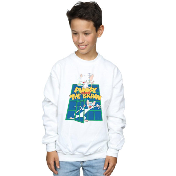 Animaniacs Boys Pinky And The Brain Laboratory Sweatshirt 5-6 år White 5-6 Years