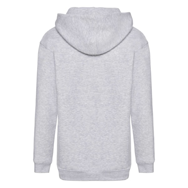 Fruit Of The Loom Kids Unisex Premium 70/30 Hooded Sweatshirt / Heather Grey 5-6 Years