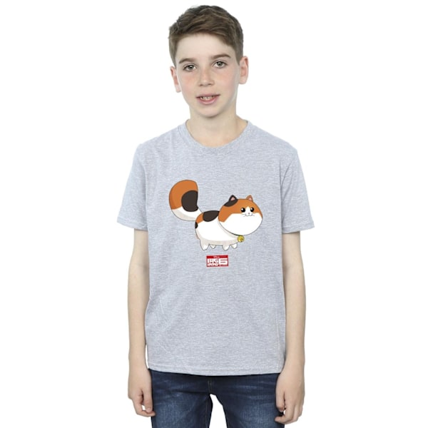 Disney Boys Big Hero 6 Baymax Kitten Pose T-shirt 12-13 år S Sports Grey 12-13 Years