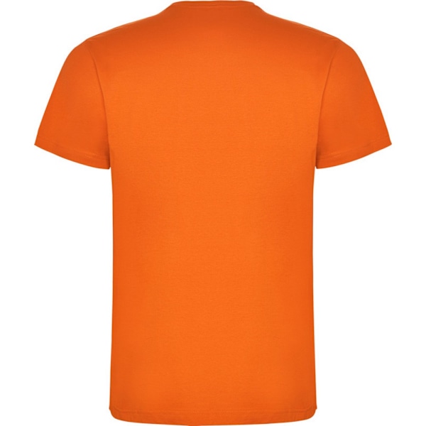 Roly Barn/Kids Dogo T-shirt 11-12 år Orange Orange 11-12 Years
