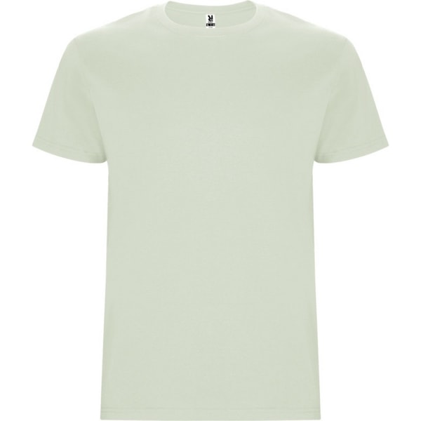 Roly Barn/Barn Stafford Kortärmad T-shirt 3-4 År Mi Mist Green 3-4 Years