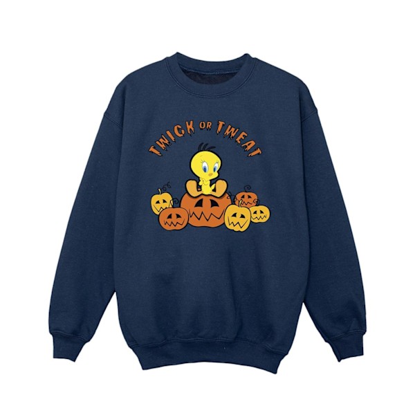 Looney Tunes Flickan Twick Eller Tweat Sweatshirt 12-13 År Marinblå B Navy Blue 12-13 Years