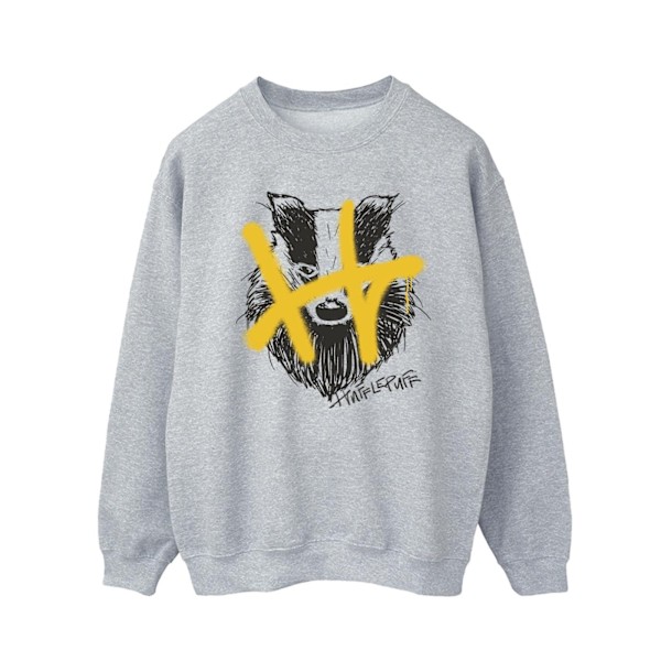 Harry Potter Herr Hufflepuff Pop Spray Sweatshirt XXL Sports Grå Sports Grey XXL