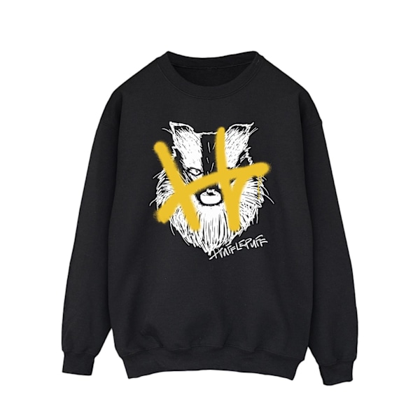 Harry Potter Herr Hufflepuff Pop Spray Sweatshirt M Svart Black M