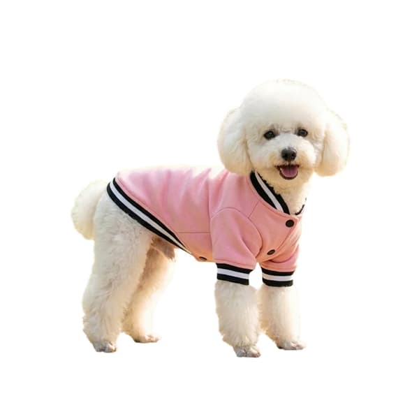 Portman & Pooch Varsity Hundjacka L Rosa Pink L
