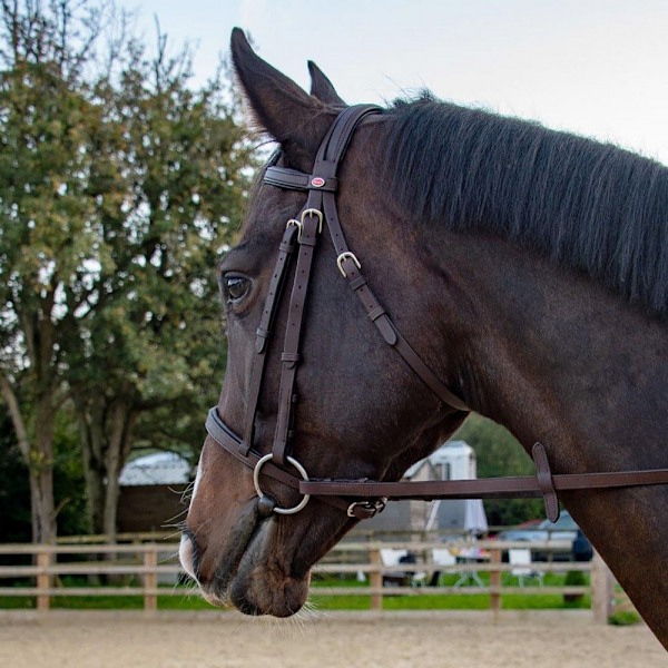 Whitaker Ready To Ride Läderhäst Snaffle Bridle Full Havana Havana Full