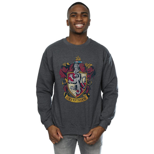 Harry Potter Gryffindor Sweatshirt för män, L, mörkgrå Dark Heather L