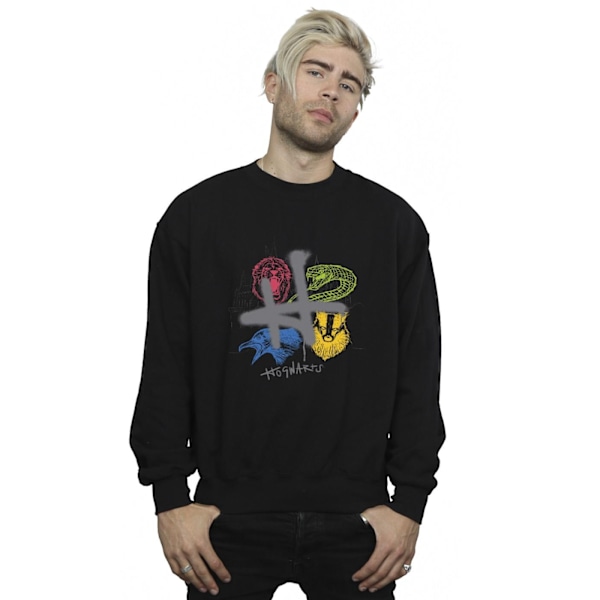 Harry Potter Herr Emblems H Spray Sweatshirt 4XL Svart Black 4XL