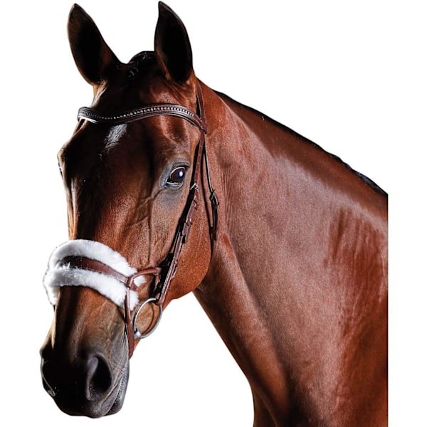 Collegiate Comfitec Läderträns Cob Brun Brown Cob