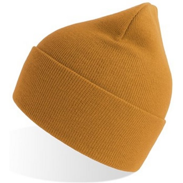 Atlantis Unisex Vuxen Ren Beanie i Ren Återvunnet Material En Storlek Senapsgul Mustard Yellow One Size
