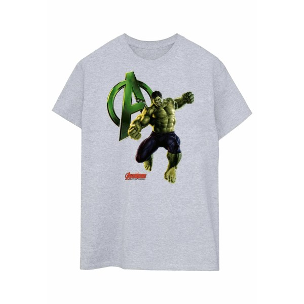 Hulk Mens Pose T-Shirt XL Sports Grey Sports Grey XL