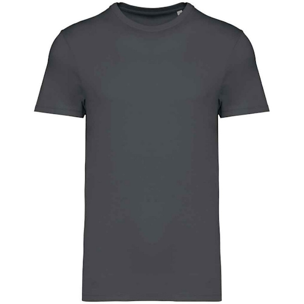 Native Spirit Unisex Vuxen Heavyweight Slim T-Shirt XS Iron Gre Iron Grey XS