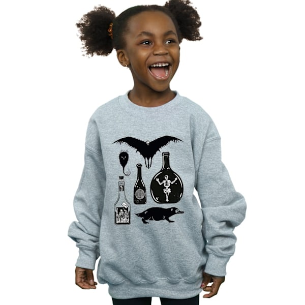 Fantastiska vidunder Girls Plain Icons Sweatshirt 12-13 år Sport Sports Grey 12-13 Years