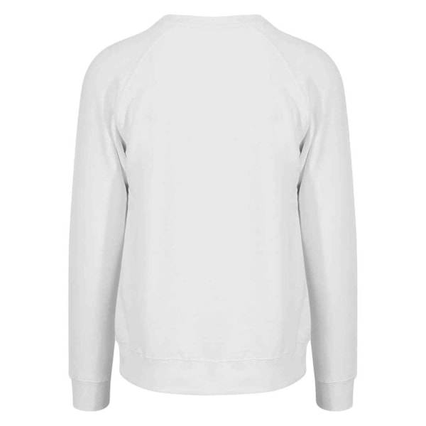 Awdis Mens Graduate Heavyweight Sweatshirt S Arctic White Arctic White S