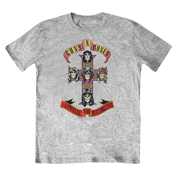 Guns N Roses Barn/Barn Appetite For Destruction T-Shirt 5- Heather Grey 5-6 Years