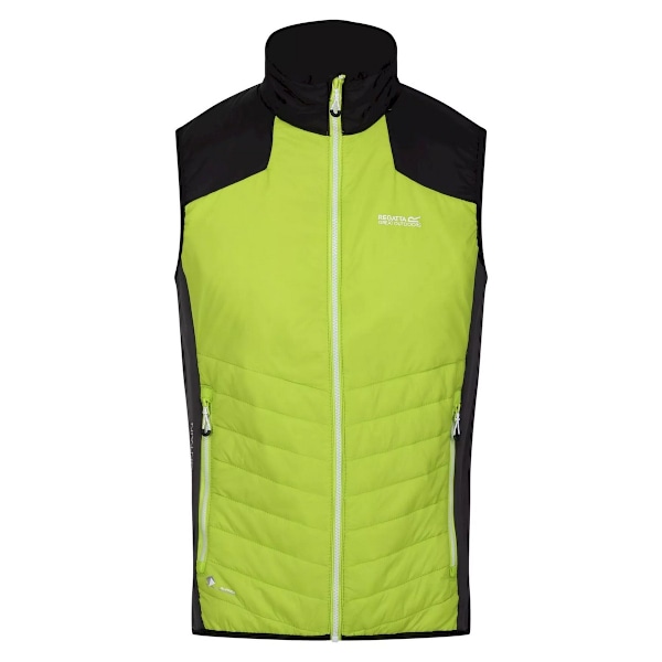 Regatta Halton VI lättviktig väst för män M Bright Kiwi/Bl Bright Kiwi/Black M