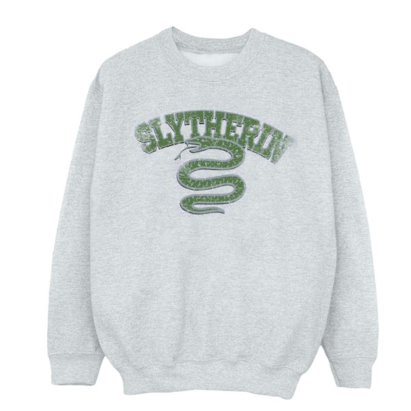 Harry Potter Pojkar Slytherin Sport Emblem Sweatshirt 7-8 År S Sports Grey 7-8 Years