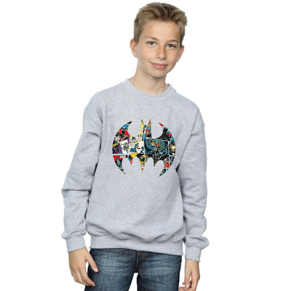 DC Comics Boys Batman Comic Book Logo Sweatshirt 12-13 år Sp Sports Grey 12-13 Years